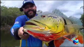 Programa Deconto Show de Pesca 04012025 quot Pescaria de Tucunare na Pousada em Manaus quot [upl. by Farlee636]