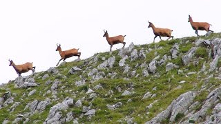 TV IZARD Esprit des Pyrénées  BANDE ANNONCE Traversée 2012  Pyrenees Spirit Trailer [upl. by Eirelav150]