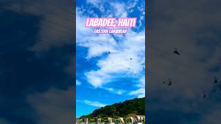 🛳️ AMAZING PORTS of CALL Labadee 🇭🇹 travel shorts cruise haiti ports [upl. by Adivad]