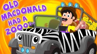 Old MacDonald Had A Zoo  Nursery Rhymes  Songs For Kids  Zoo Song  Kids Tv Nursery Rhymes [upl. by Norraa]