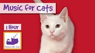 1 Hour of Music for Cats  Relax your Cats and Send them to Sleep CATS LOVE THIS MUSIC [upl. by Aliehc973]