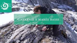 Gavarnie à marée basse [upl. by Shep]