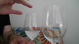 Wine Glass Resonance  Sound Waves [upl. by Jerusalem]