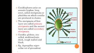 plant pathology plant pathology mcq plant pathology objectives plant pathology lecture mcq [upl. by Riffle85]