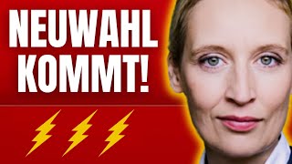 ⚡ ALICE WEIDEL KÜNDIGT NEUWAHLEN AN⚡ [upl. by Ynnahc]