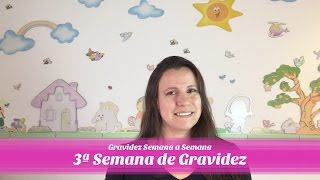 3ª SEMANA DE GRAVIDEZ [upl. by Neomah]