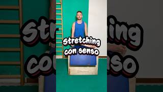 STRETCHING PER IL PIRIFORME SENZA ERRORI learncalisthenics perte fitness mobility tutorial ✨ [upl. by Scot961]