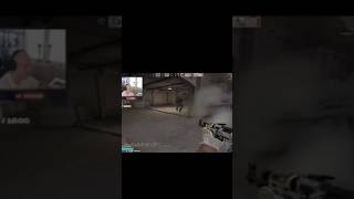 dzinold banduracartel funny bungee memes stream csgo csgomoments twitch streamer [upl. by Ahso]