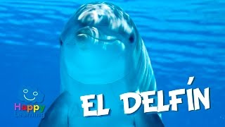 El Delfín  Videos Educativos para Niños [upl. by Sutherlan290]