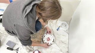 How to Replace a Toilet Flange Detailed Step by Step Guide for Beginners [upl. by Niajneb]