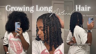 My Natural Hair Care Routine for Length Retention  How to grow long hair [upl. by Shadow]