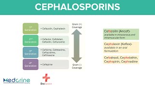 Cephalosporins Pharmacology 1st to 5th Generations Mnemonics Indications and Adverse effects [upl. by Pammy]