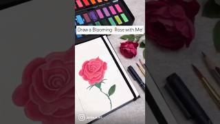 How to Draw a Blooming Rose with Watercolors  Easy Watercolor Rose Tutorial 🌹🎨 youtubeshorts [upl. by Marcelo]