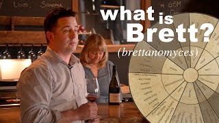 What is Brett Brettanomyces ★ Beer and Wine Making [upl. by Olav]