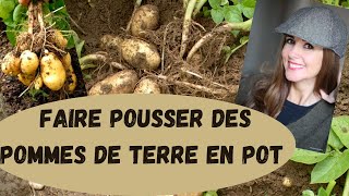 FAIRE POUSSER DES POMMES DE TERRE EN POT pommedeterre [upl. by Zil]