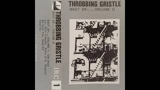 Throbbing Gristle – Slug Bait [upl. by Annasor]