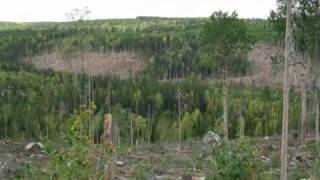 Ingemars Vår gamle grend Finnskogen [upl. by Godfry]