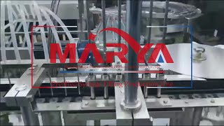 Marya Automatic Pharmaceutical PFS Prefilled Syringe Filling Machine ManufacturersampSupplier China [upl. by Issac]