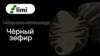 Реклама 《limi》 Чёрная пятница Чёрныечёрные товары 2024 [upl. by Antonina]