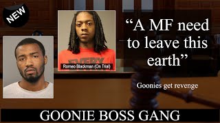 Witness testifies about Goonies getting revenge for hit on Lil As Brother [upl. by Aisayn]