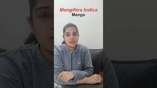 Mangifera Indica  Indian Mango with GI Tags shorts currentaffairs gkshorts [upl. by Mellitz]