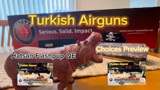 Hatsan Flashpup QE  Turkish Airguns Choices [upl. by Aliet]