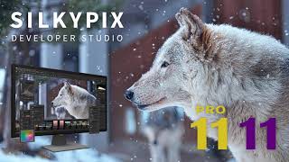 「SILKYPIX Developer Studio Pro1111」プロモーションムービー [upl. by Eriuqs898]