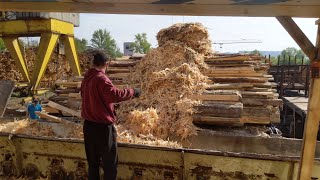 Women Master Wood Processing From Logs to Finished Products 🌲💪 [upl. by Moguel]