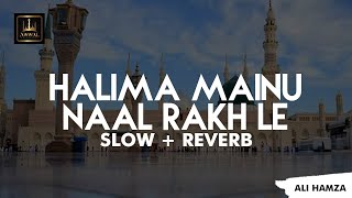 Halima Mainu Naal Rakh Le By Ali Hamza  Slow amp Reverb Naat  Awwal Studio Lofi [upl. by Ahsinar334]