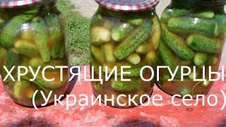 ОГУРЦЫ СО ВКУСОМ ДОЖДЯ И ГРОМА  ХРУСТЯЩИЕ И САМЫ ВКУСНЫЕ ОГУРЦЫ НА ЗИМУ [upl. by Cyn]