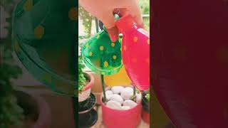 Waste Plastic Bottle 🍾 Garden 🏡💡youtubeshorts viralvideo shorts [upl. by Mayda]