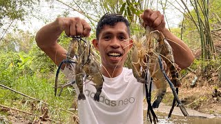 The oldest freshwater shrimp I’ve ever catch in my history fish fishing [upl. by Anaerdna]