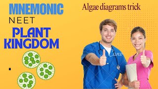 Algae diagram trick  neet [upl. by Tamiko795]