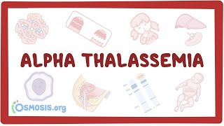 Alphathalassemia  an Osmosis Preview [upl. by Mauve]