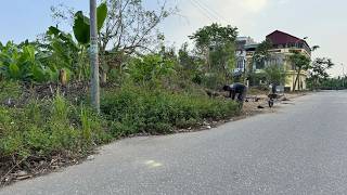 CLEANING UP overgrown sidewalks is really worth the EFFORT Beautiful transformation [upl. by Gerta]