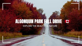 Enchanting Fall Drive Through Algonquin Park 2024 Natures Colourful Symphony Fall colours update [upl. by Eira]