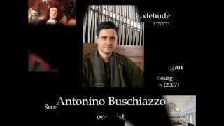 Buxtehude Toccata in d minor BuxWV 155 Antonino Buschiazzo  organ [upl. by Leksehc481]