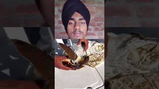 ਬਾਈ ਨੇ ਮਰਦਾ ਮਰਦਾ ਕੱਛੂ ਵਚਾ ਲਿਆ ❤️😱😔 shortsvideo shorts trending punjabi [upl. by Imugem493]