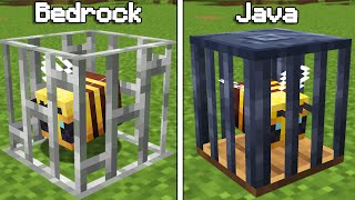 Why Java Minecraft Is Secretly Better Than Bedrock Edition Hindi [upl. by Atimad681]