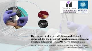 VAA Video Abstract No 1 April 2021  Development of a lateral ultrasoundguided RUUM in cats [upl. by Ahsiekat558]