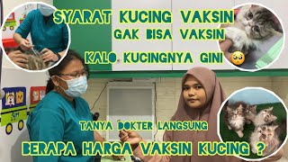 Spill biaya vaksin kucing persyaratan vaksin kucing apa saja  Tonton video ini [upl. by Edorej750]