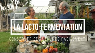 Comment réaliser une lactofermentation facilement [upl. by Ojillek]