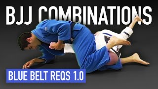 Blue Belt Jujutsu Combinations [upl. by Ragg]