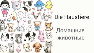 Домашние животные Бесплатный урок Die Haustieredeutsch new deutschfürkinder haustiere [upl. by Moncear]