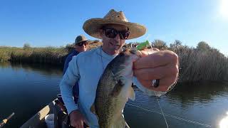 Fly Fishing for Bass with FROG Flies  RIOs Foam Slice Frog [upl. by Artus]