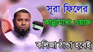 Bangla Waz 2017 Maulana Sharifuzzaman Rajibpuri New Bangla Islamic Waz 2017 [upl. by Ayotyal478]