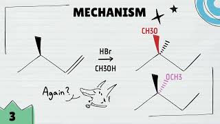 Hydrohalogenation reaction mechanism with different solvents Markovnikov and not stereoselective [upl. by Hairam117]