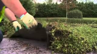 Installing a green roof  Enviromat [upl. by Lowson]