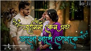 জানি না কেন এত ভালো লাগে তোমাকে॥janina keno eto valo lage tomake॥ Bangla romantic Lofi song 🌼🥰❤️ [upl. by Grey506]