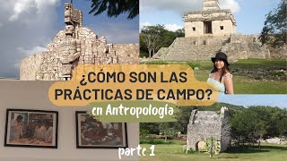 Pt 1  ¿CÓMO ES UNA PRÁCTICA DE CAMPO estudiando ANTROPOLOGÍA UNAM  Dzibilchaltún UADY [upl. by Boycey760]